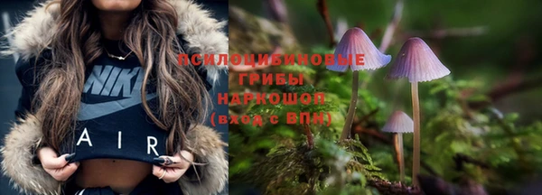 бошки Баксан