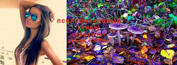 бошки Баксан