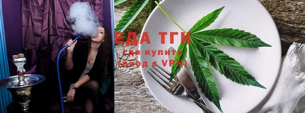 молекула духа Арсеньев
