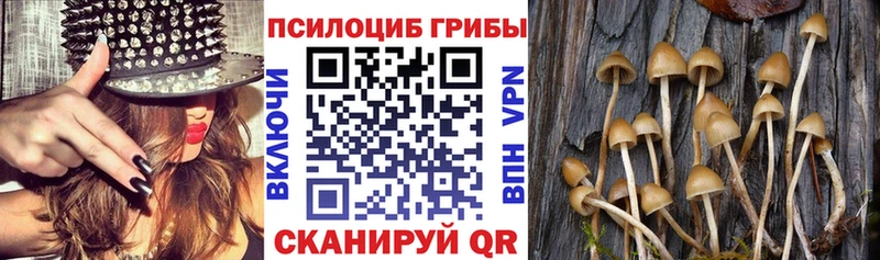 Галлюциногенные грибы GOLDEN TEACHER это какой сайт Онега